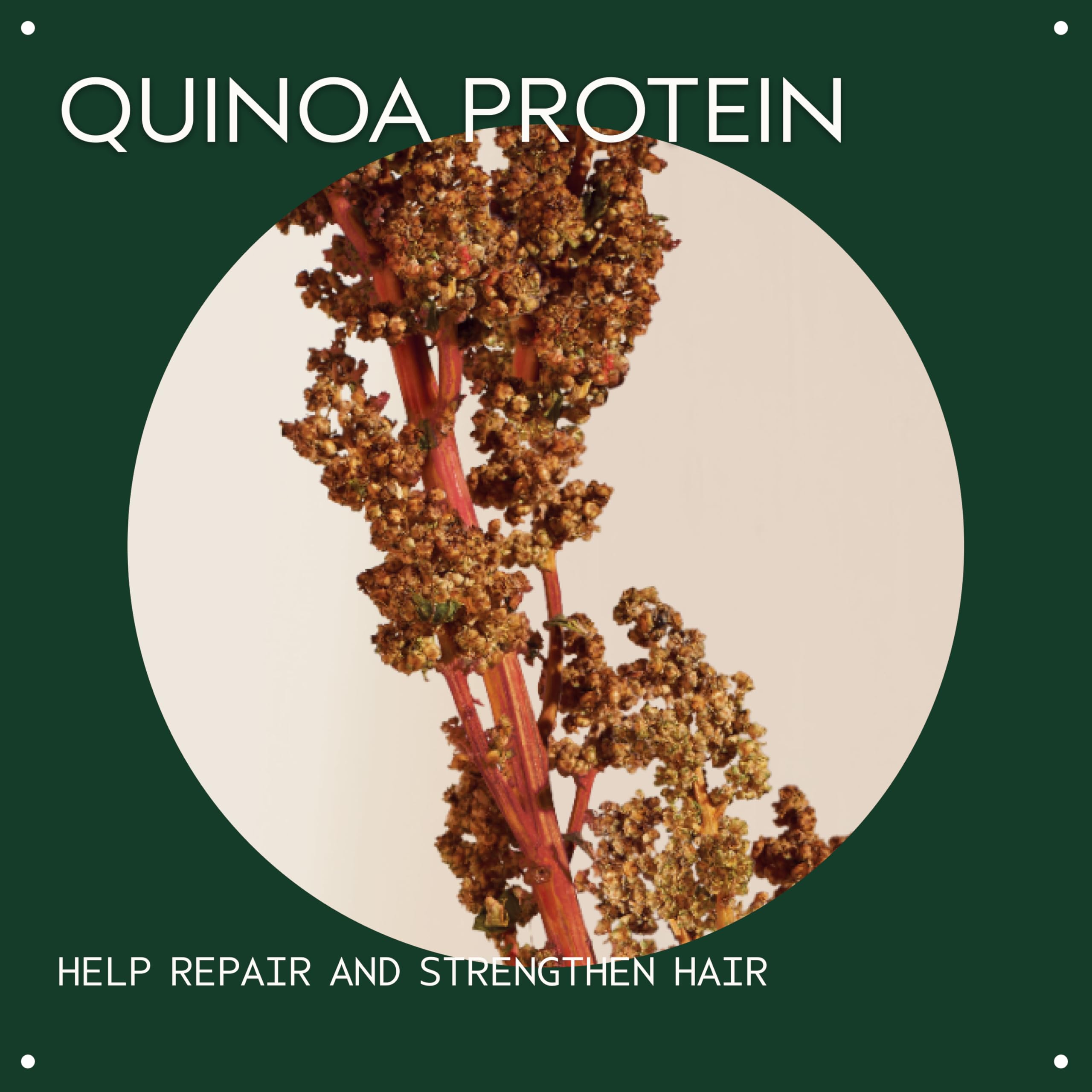 Aveda Damage Remedy quinoa protein visual emphasizes hair strengthening benefits.