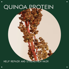 Aveda Damage Remedy quinoa protein visual emphasizes hair strengthening benefits.