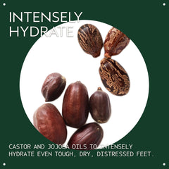 Aveda Foot Relief Creme packaging front; eco-conscious plant-based foot care.