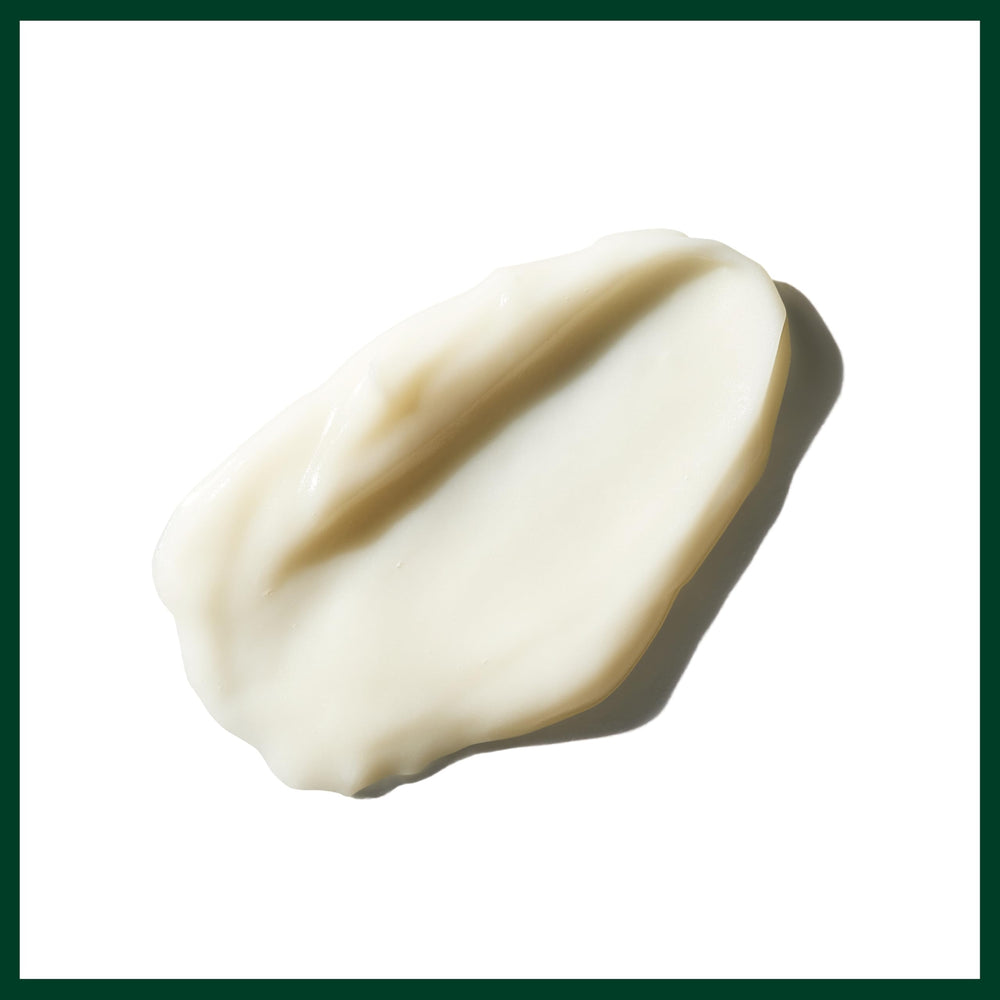 Packaging of the Aveda Men Pure-Formance line emphasizing plant-derived formula
