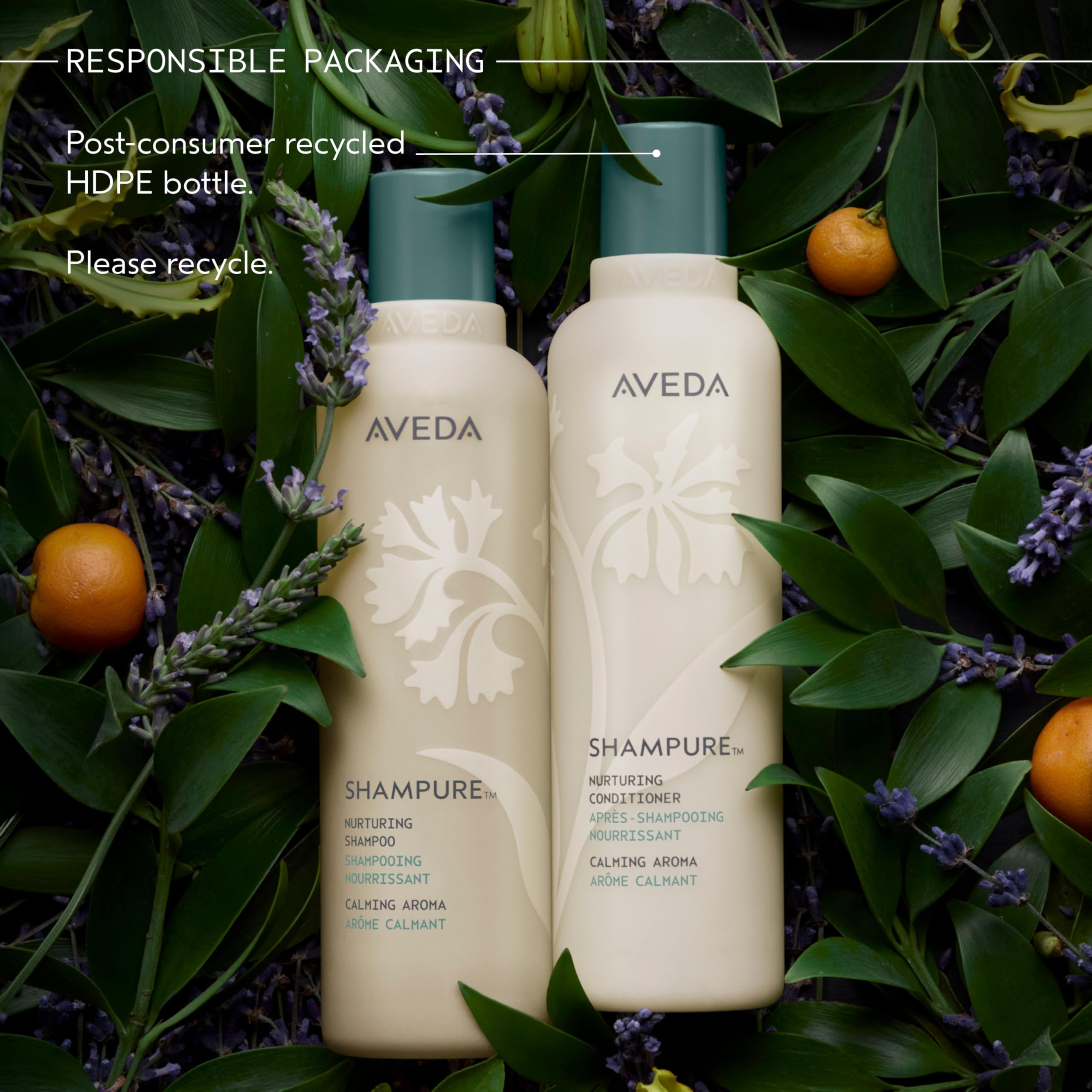 Packaging evolution image reflecting updated outer look of Shampure.