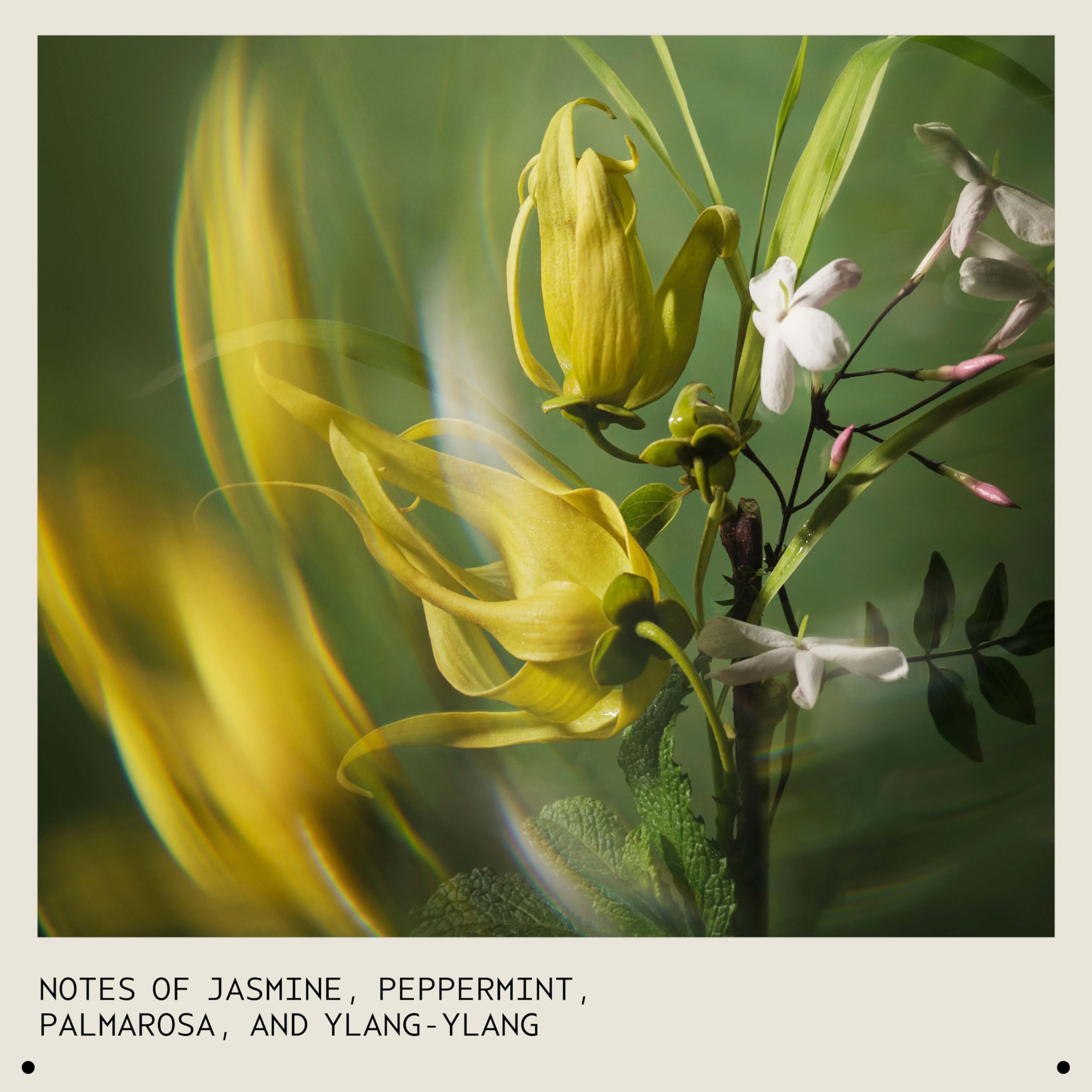 Aveda Pure Abundance amaranth seed extract focus emphasizing reduced friction for movement