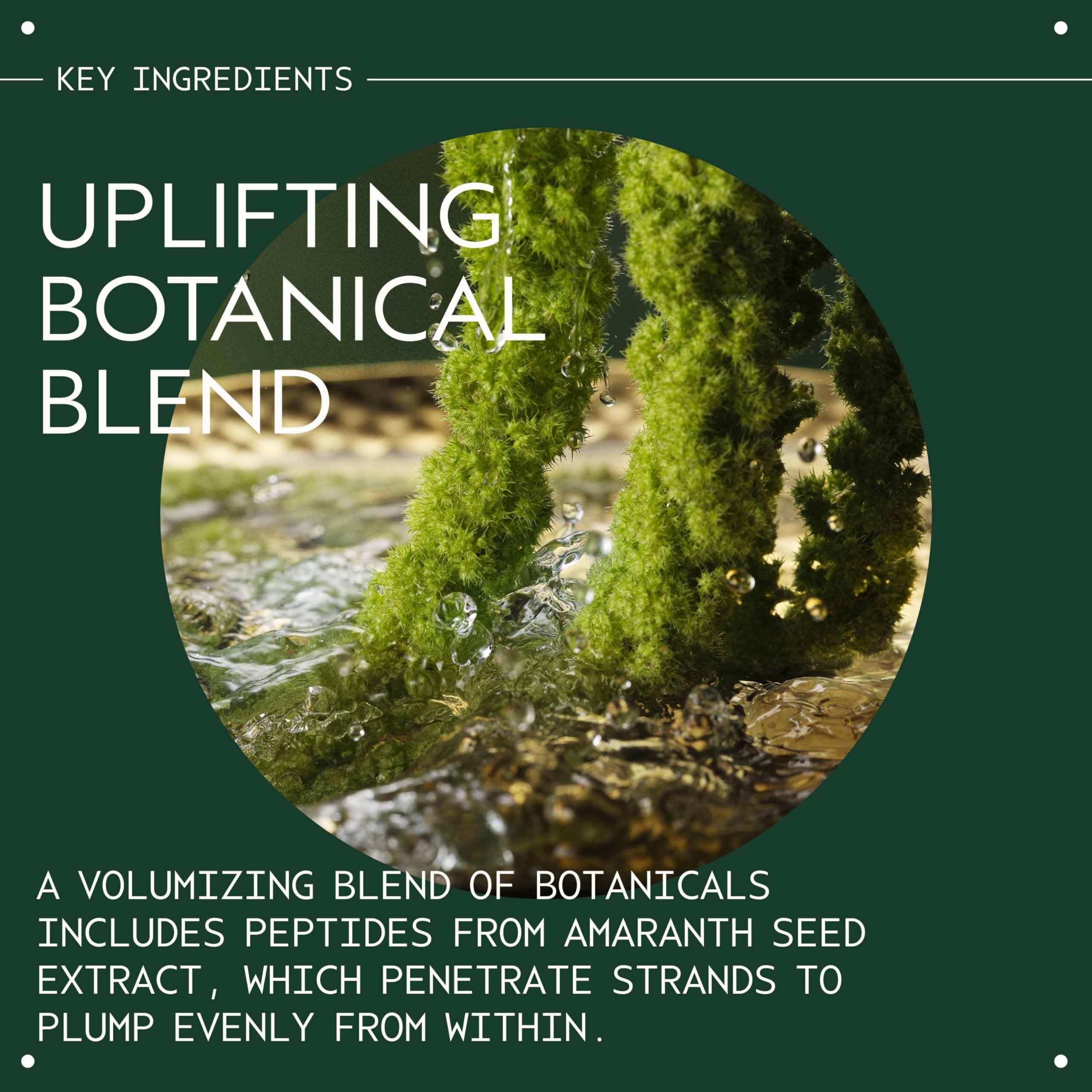Aveda Pure Abundance aroma blend with jasmine and peppermint for a refreshing scent