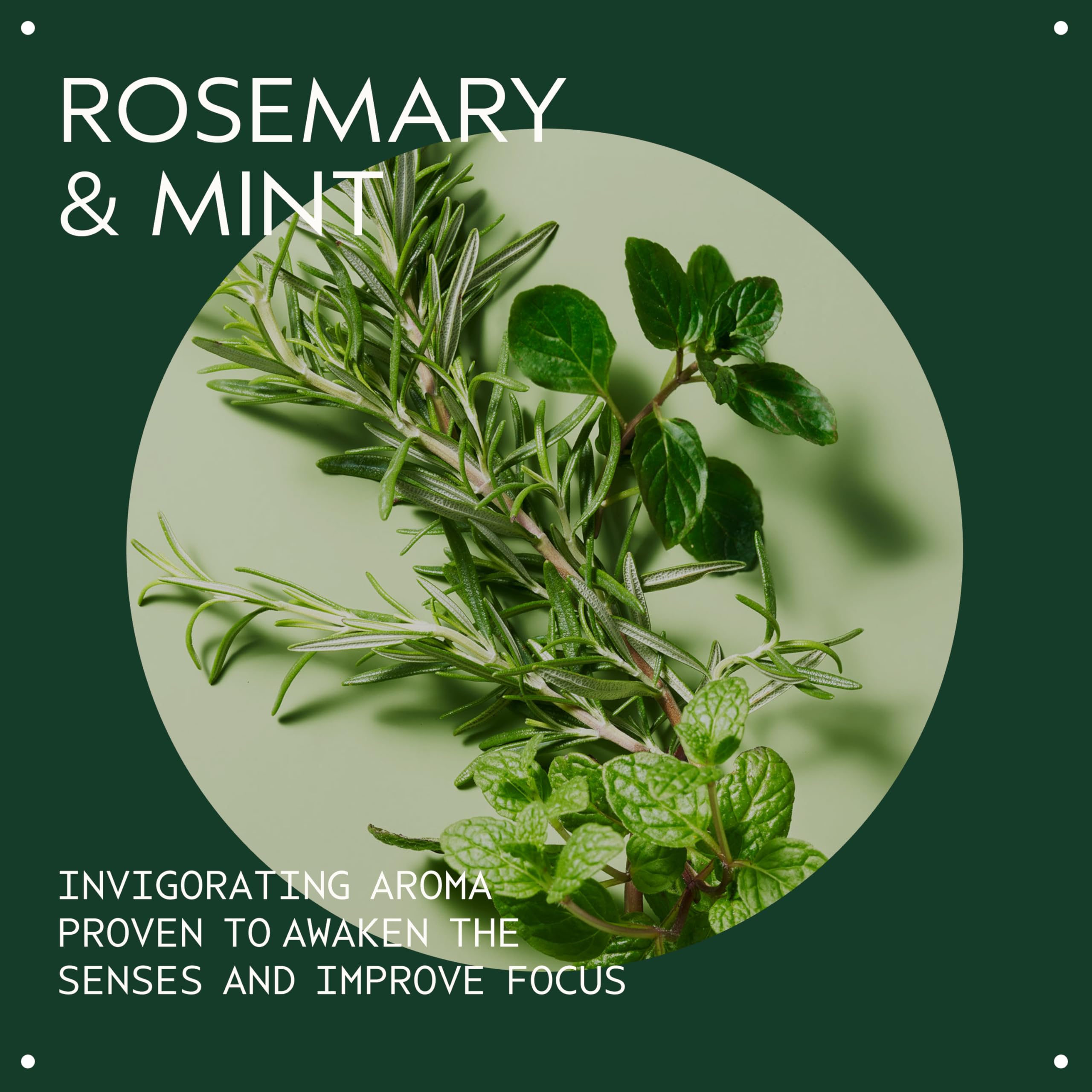 Aveda Rosemary Mint bar shown on skin suggests a quick, energizing wash.