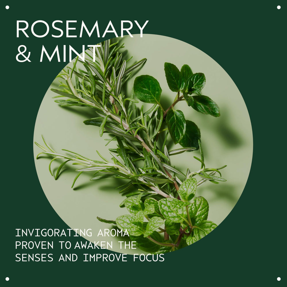 Aveda Rosemary Mint Weightless Conditioner on hair showing detangled strands