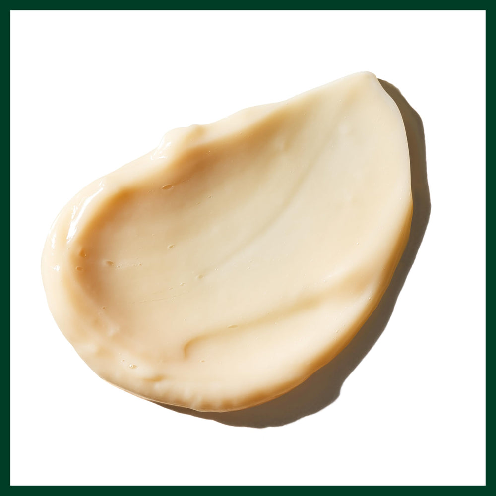 Aveda Sap Moss reduces frizz for a softer finish