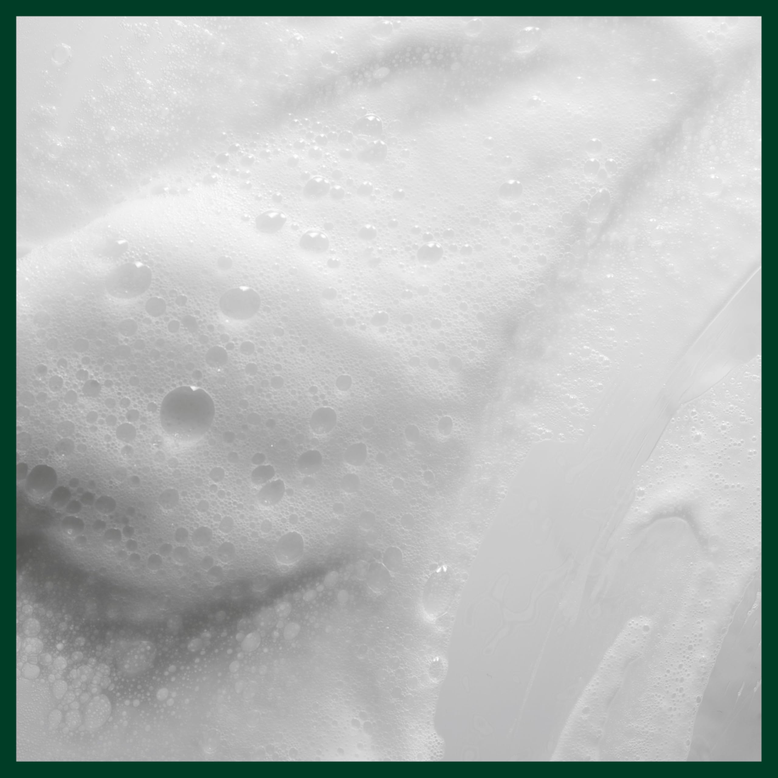 Aveda Scalp Solutions Balancing Shampoo fragrance note highlights citrus-neroli-mint aroma.