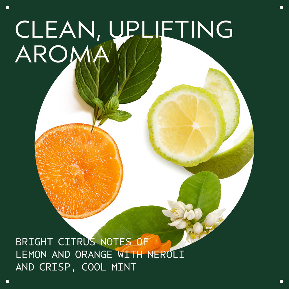Aveda Scalp Solutions Balancing Shampoo lather close-up promotes clean hair and balanced scalp.