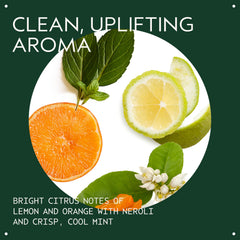 Aveda Scalp Solutions Balancing Shampoo lather close-up promotes clean hair and balanced scalp.