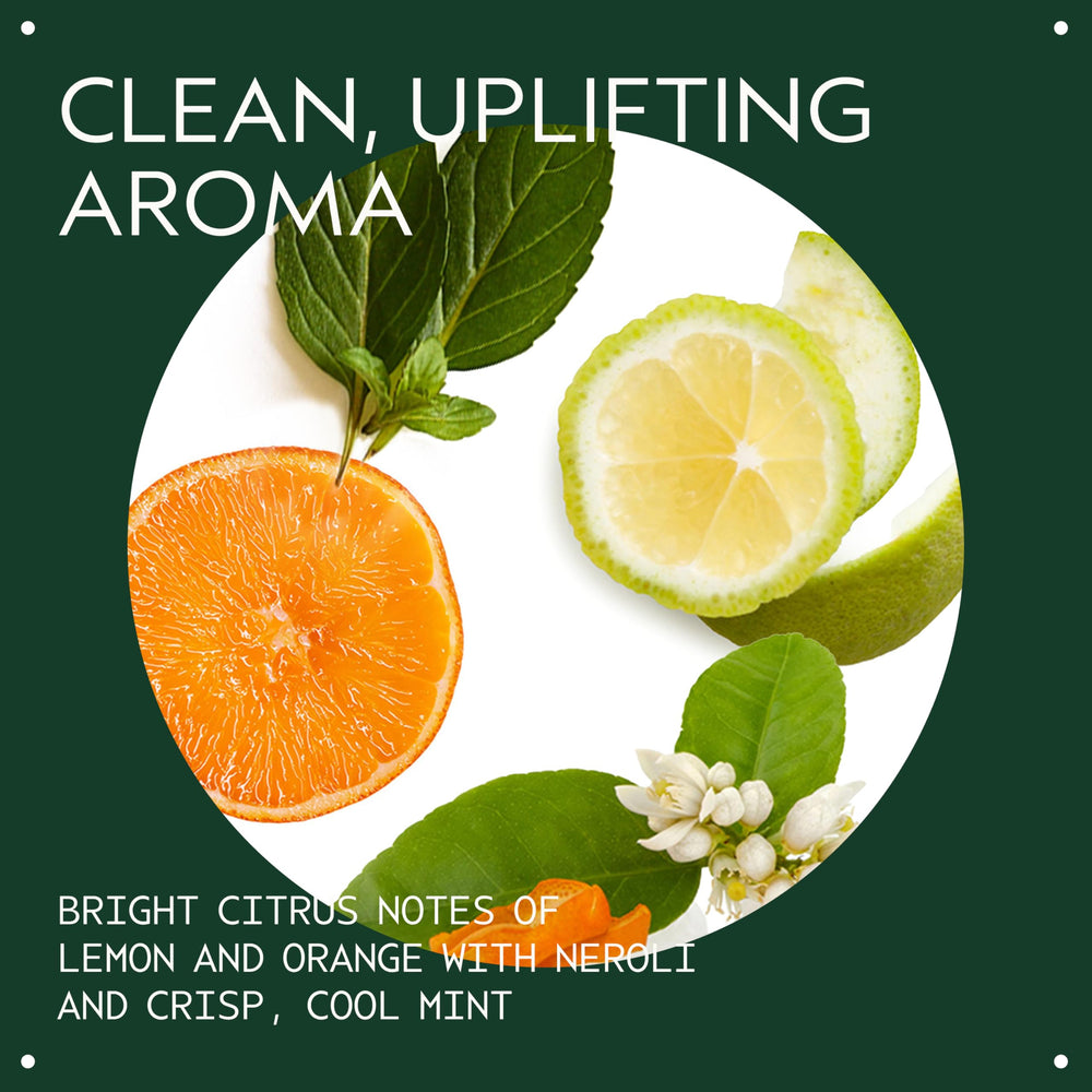 Aveda Scalp Solutions conditioner being applied for lightweight hydration