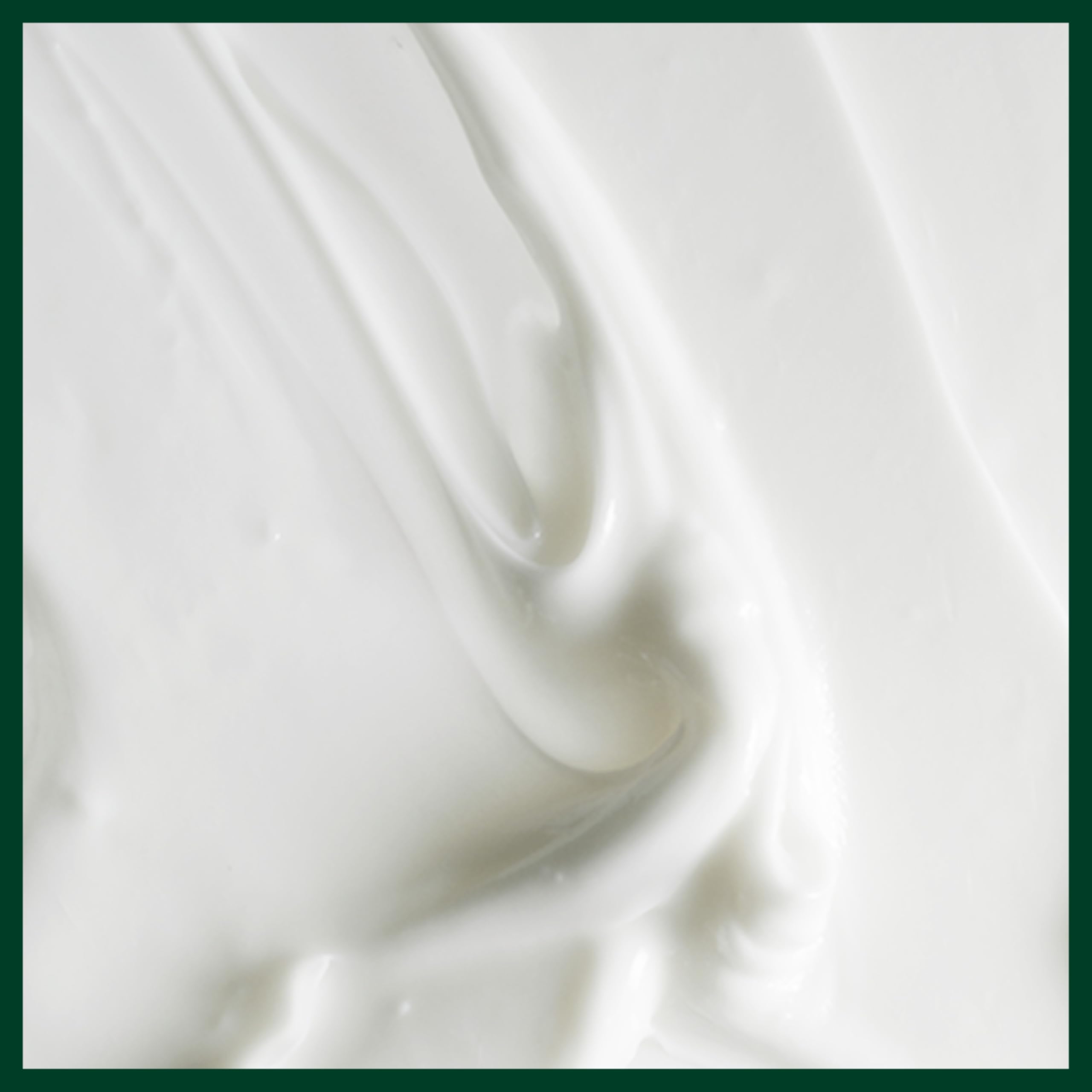Aveda Scalp Solutions conditioning on healthy hair for softness
