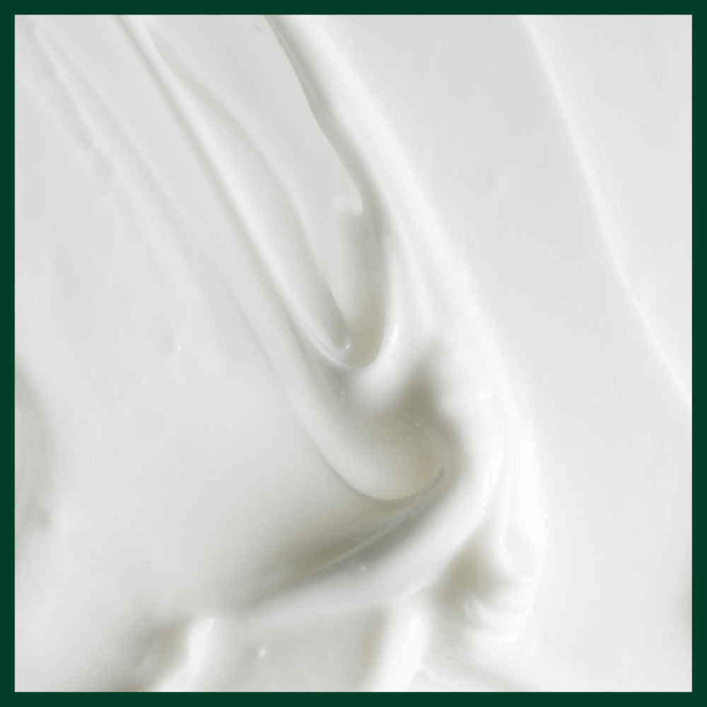 Aveda Scalp Solutions conditioning on healthy hair for softness