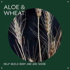 Blow-drying with Aveda Volumizing Hair Tonic to lift roots