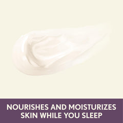 Aveeno Absolutely Ageless night cream applied to face and neck for overnight care.