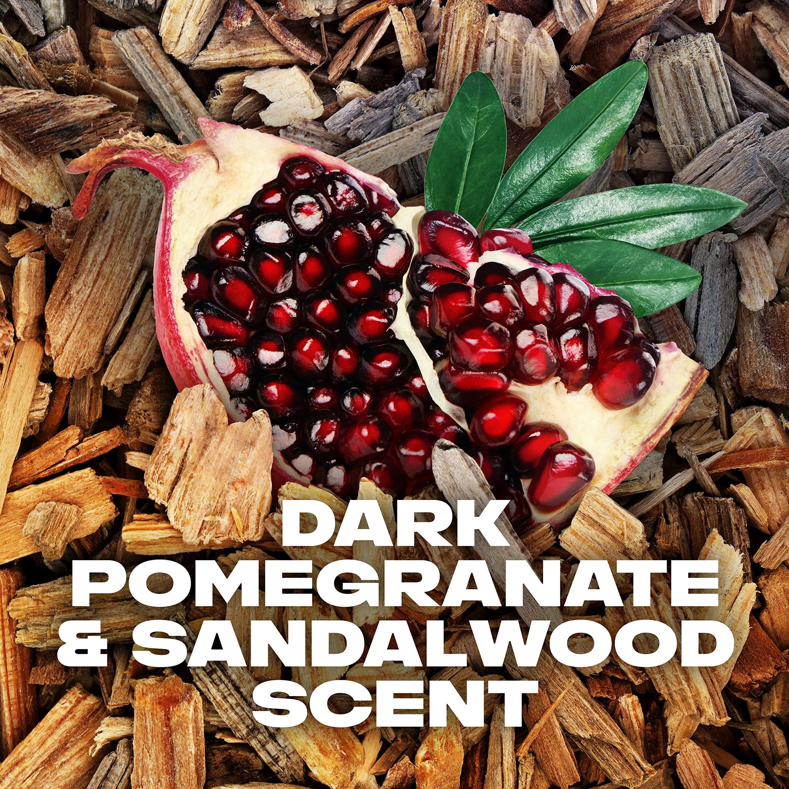 AXE Anarchy dark pomegranate and sandalwood fragrance for a bold scent