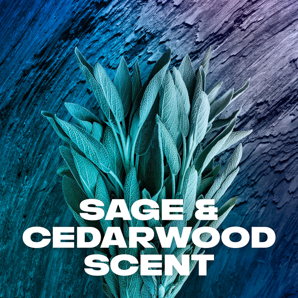 Close-up of AXE Apollo label highlighting sage and cedarwood