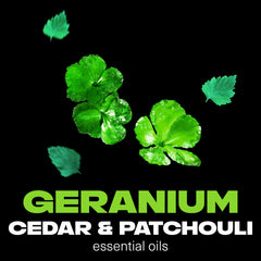 AXE Green Geranium Deodorant Spray packaging showcases premium brand design.