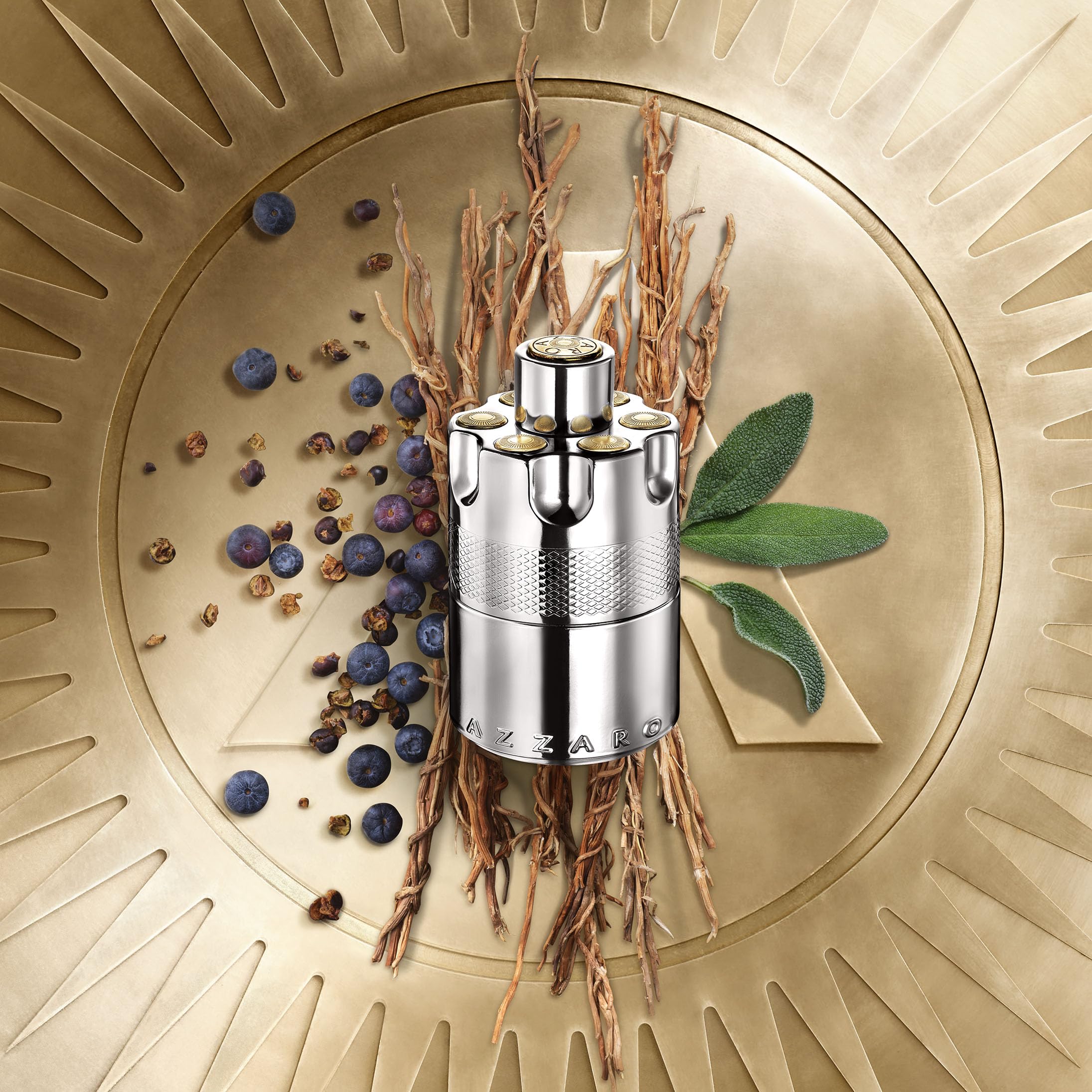 Azzaro Wanted EDP packaging silver bottle for striking gift-ready presentation.