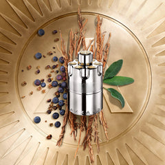 Azzaro Wanted EDP packaging silver bottle for striking gift-ready presentation.