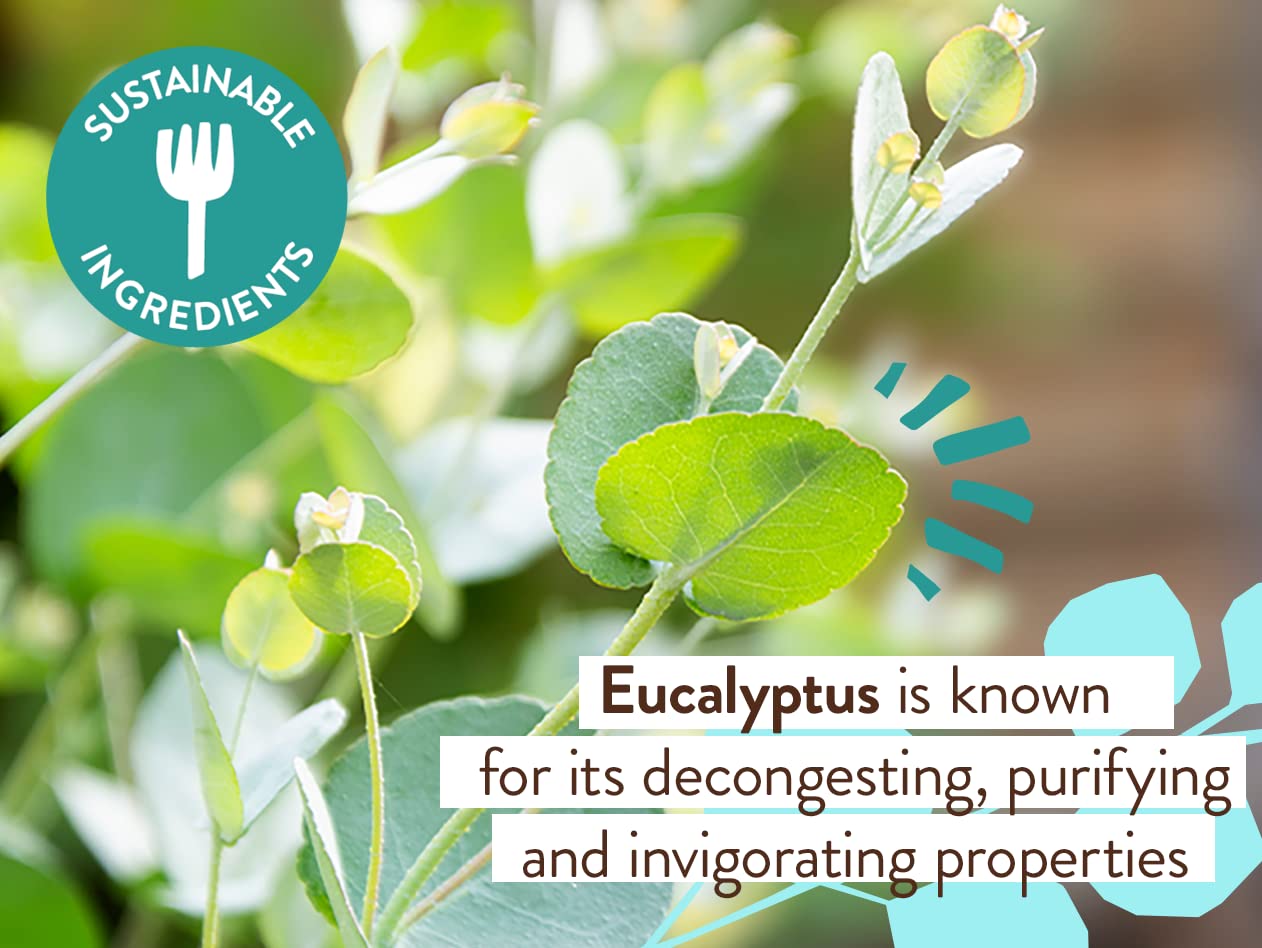 Babo Botanicals Eucalyptus Remedy Aroma refrescante de eucalipto para despertar sentidos.