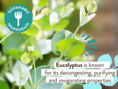 Babo Botanicals Eucalyptus Remedy Aroma refrescante de eucalipto para despertar sentidos.