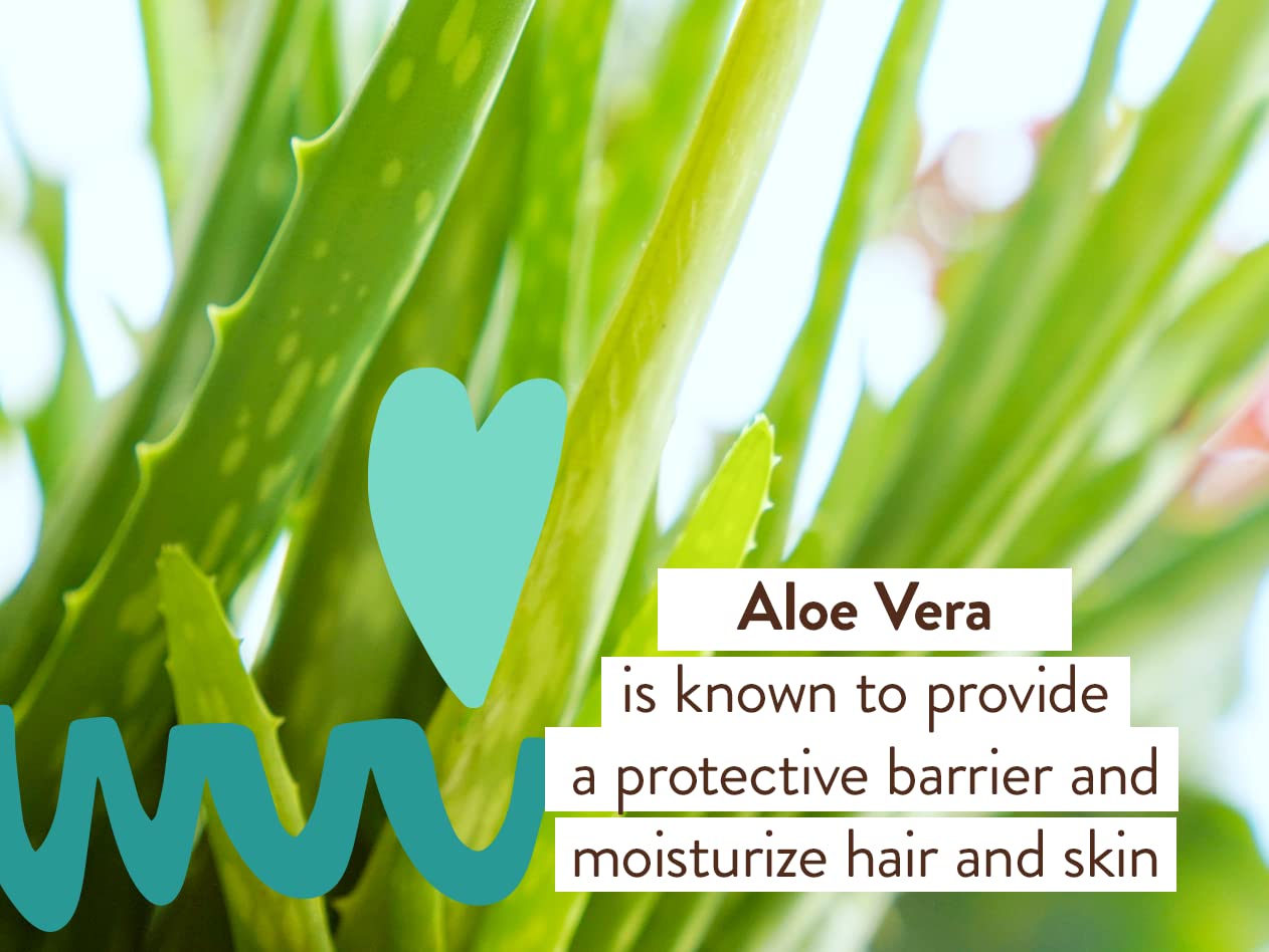 Babo Botanicals Eucalyptus Remedy Formato apto para todo tipo de cabello.