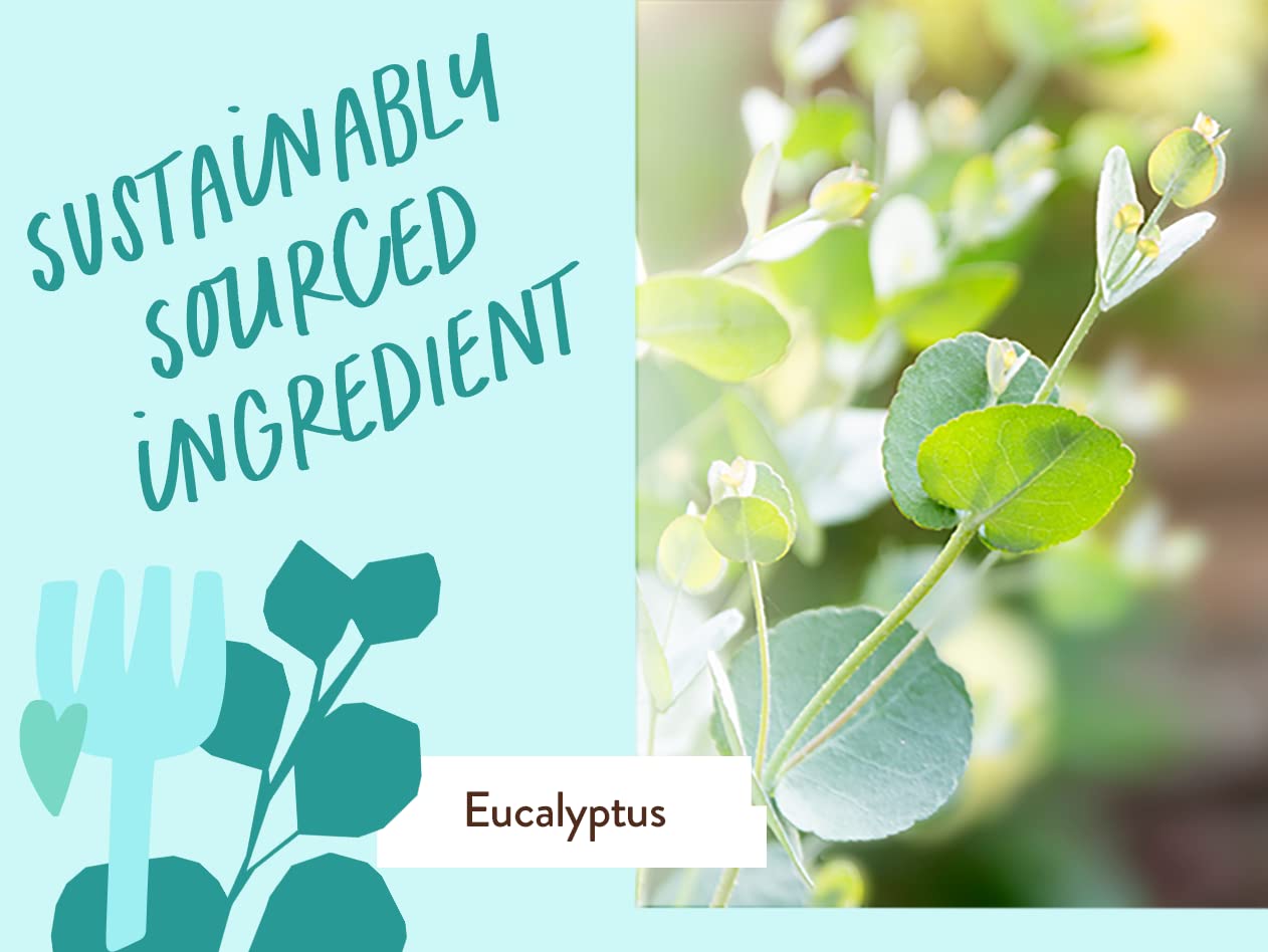 Babo Botanicals Eucalyptus Remedy Apto para todas las edades y uso diario.