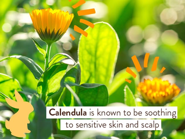Babo Botanicals vertical-farm-calendula indicates sustainable calendula sourcing.
