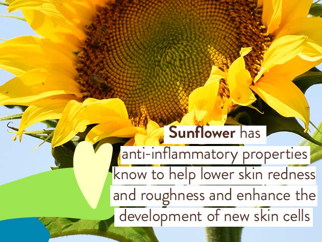 Loción sin fragancia de Babo Botanicals SPF 30 para piel sensible.