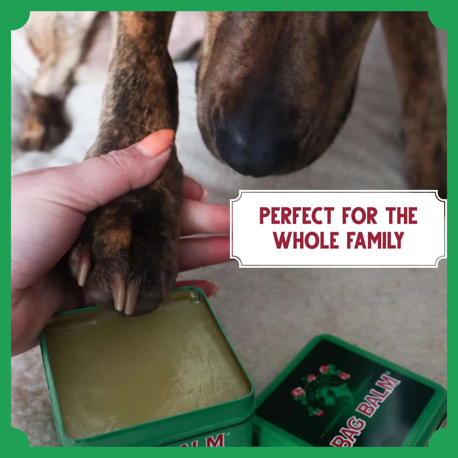 Bag Balm two-pack tins provide year-round pet care with convenient, ready-to-use coverage.