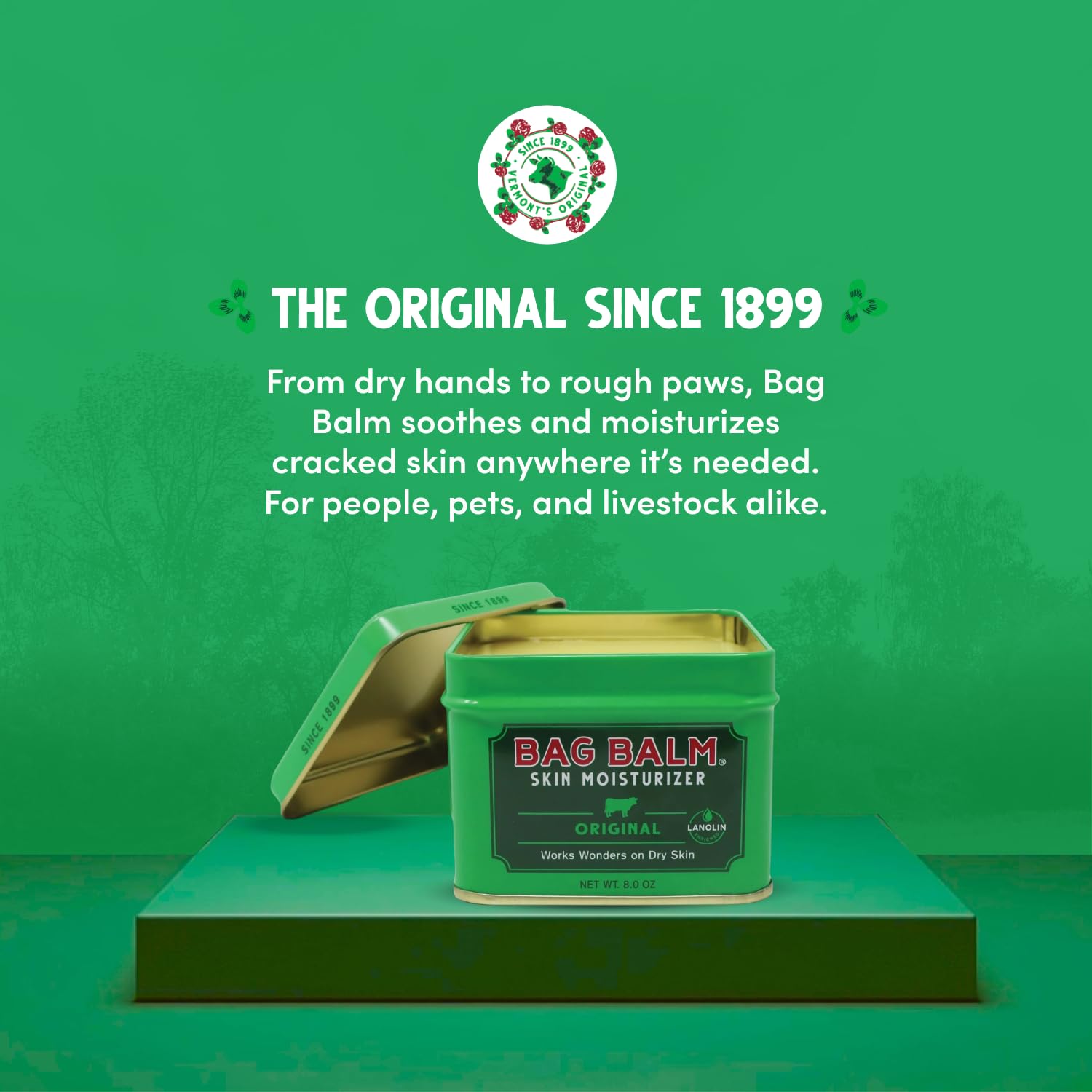 Bag Balm Vermont origin label reinforces trusted heritage and simple, fragrance-free ingredients.