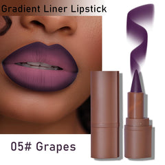BAISEN DIARY gradient ombre lips with soft matte finish.