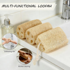 Balifeel 4 pack loofah scrubbers for convenient skin care routine.