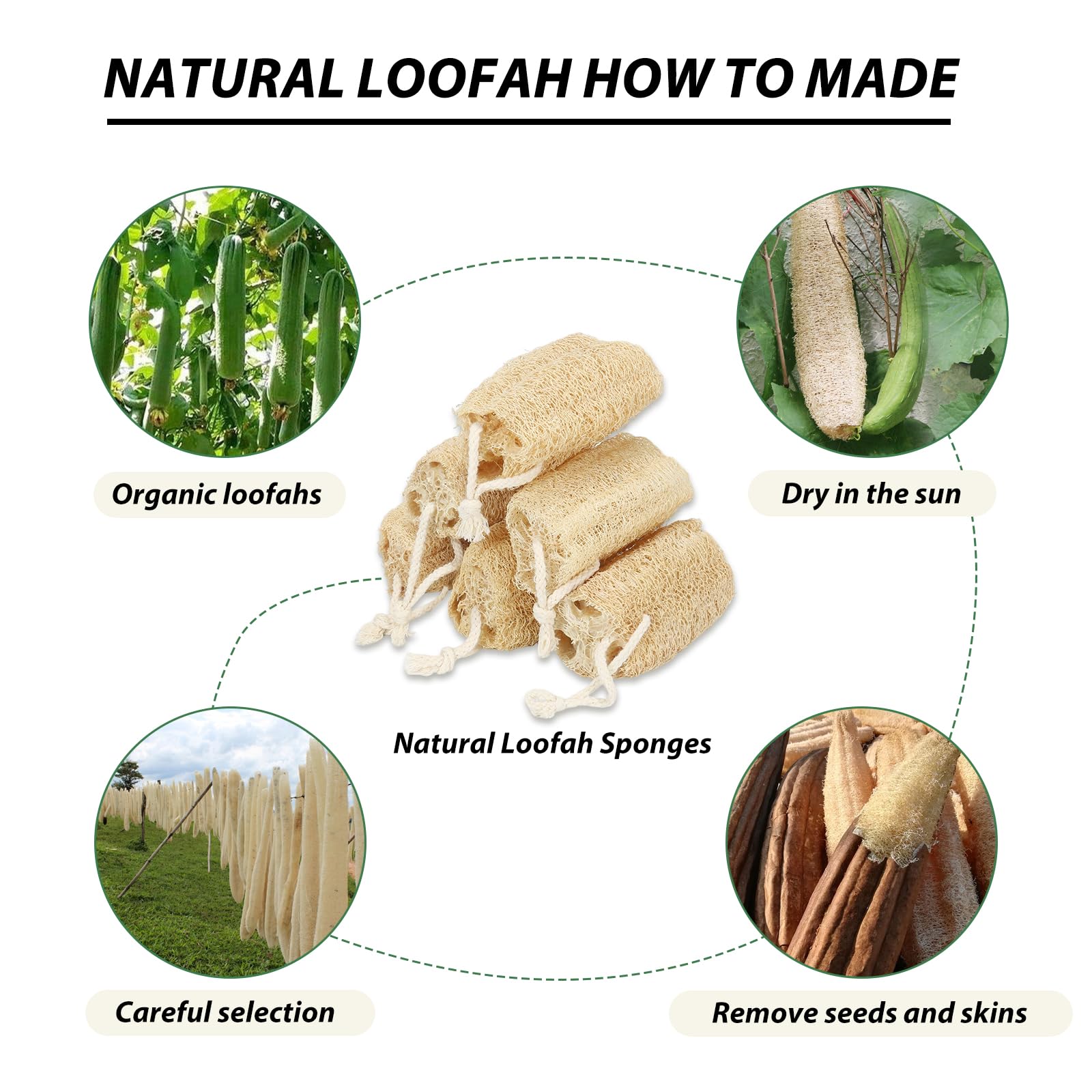 Balifeel loofah sponges used for kitchen and light cleaning tasks.