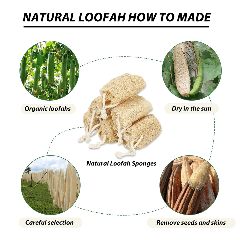 Balifeel loofah sponges used for kitchen and light cleaning tasks.
