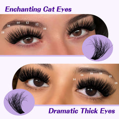 BandQaugen fluffy lash clusters 13-15mm soft cat-eye option.