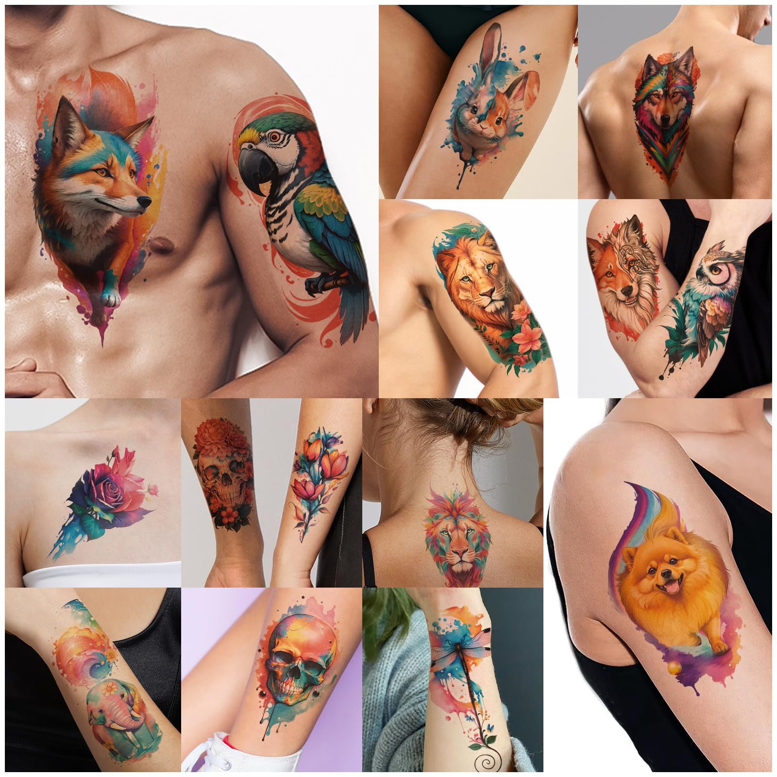 Basifa easy-application tattoos on skin with quick water transfer.