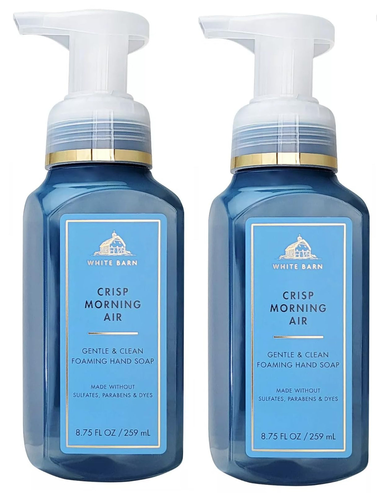 Bath & Body Works Crisp Morning Air jabon espumoso para manos, limpieza suave diaria.