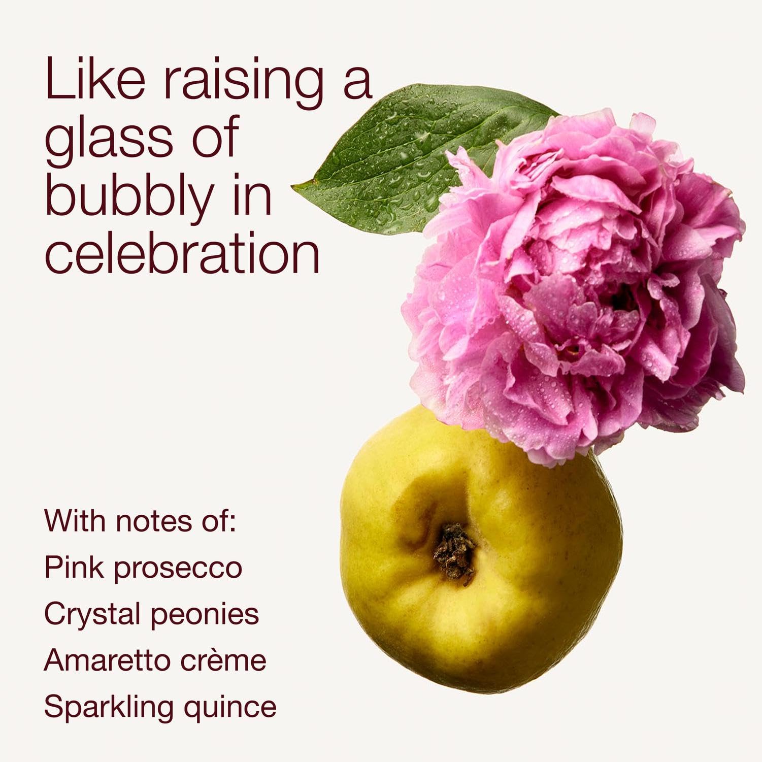 Fragancia Prosecco y peonía Bath & Body Works A Thousand Wishes