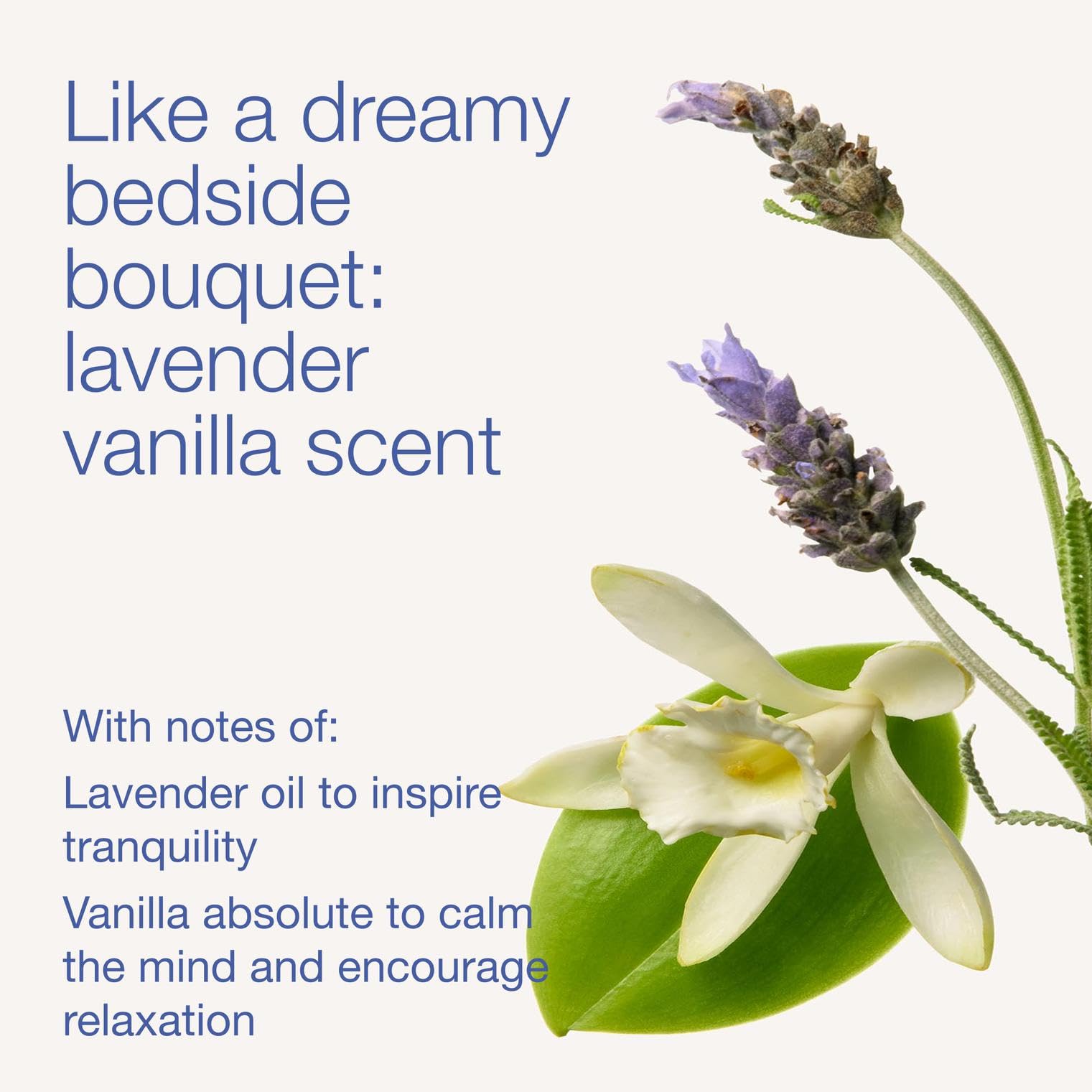 Bath and Body Works ingredient detail highlights shea butter and hyaluronic acid.