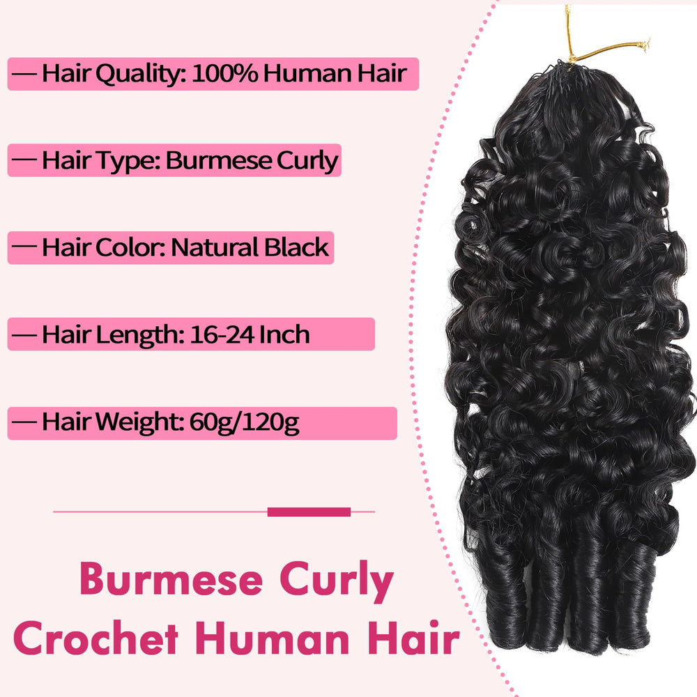 Beauty Queen length options reach 16–22 inches for versatile styling.