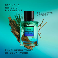 Beckham True Instinct top-note pine needles visual conveying fresh opening