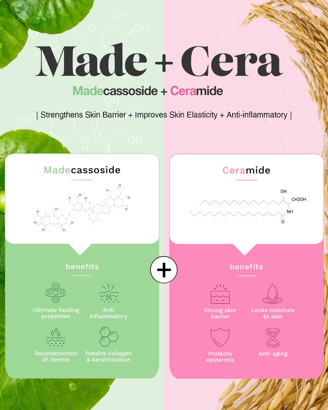 BEISIKS SkinRxLAB MadeCera con ingredientes activos para cuidado diario.