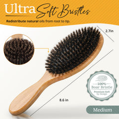 Belula boar bristle brush medium top view with soft bristles for sensitive scalps