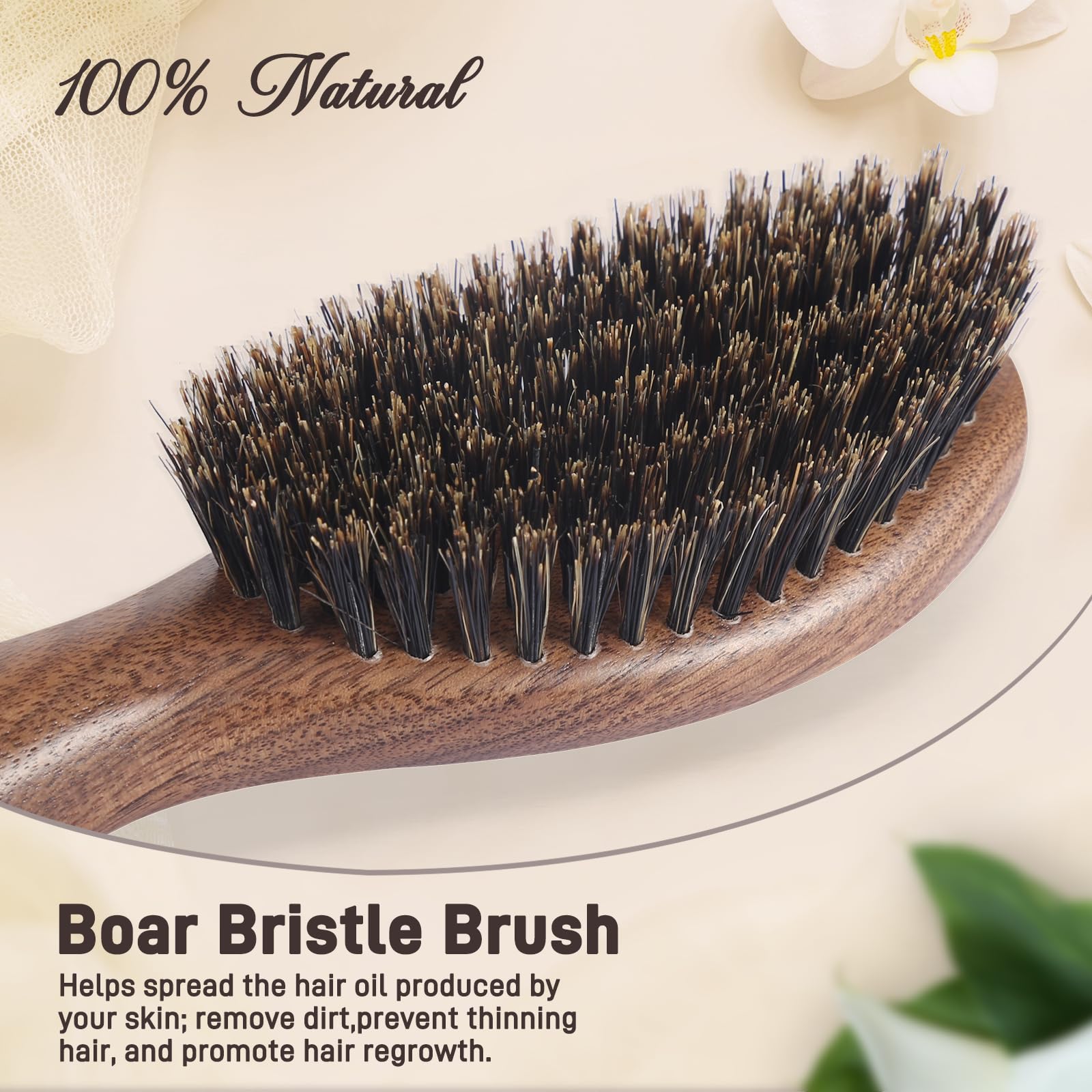 BESTOOL boar bristle detail promotes even oil distribution for smooth hair
