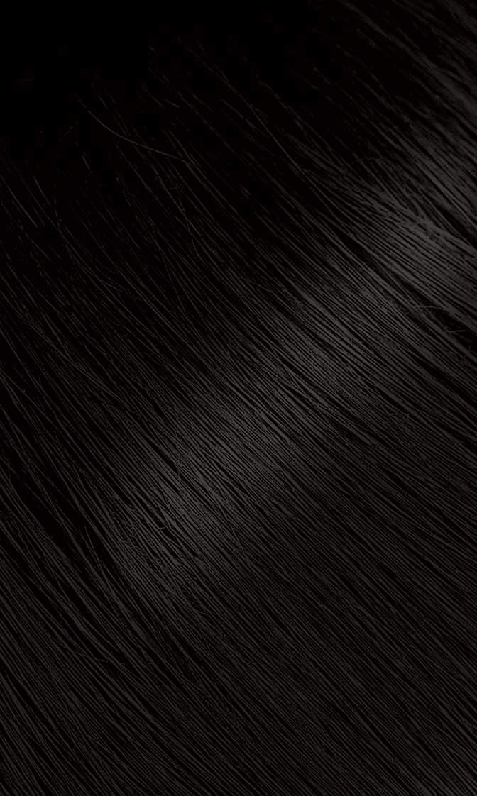 Bigen #57 Dark Brown powder pack back highlights ammonia-free formula.