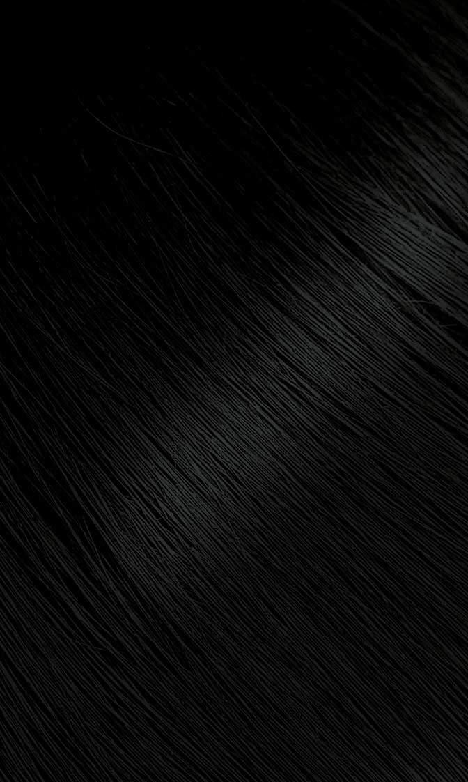 Bigen Oriental Black Powder jar close-up showing rich pigment and even coverage.