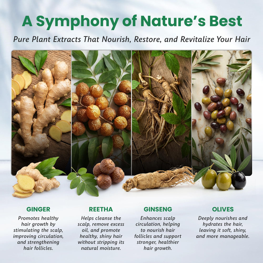 Herbal ingredients in BIOGREEN ROOTS: ginger, polygonum multiflorum, angelica, ginseng