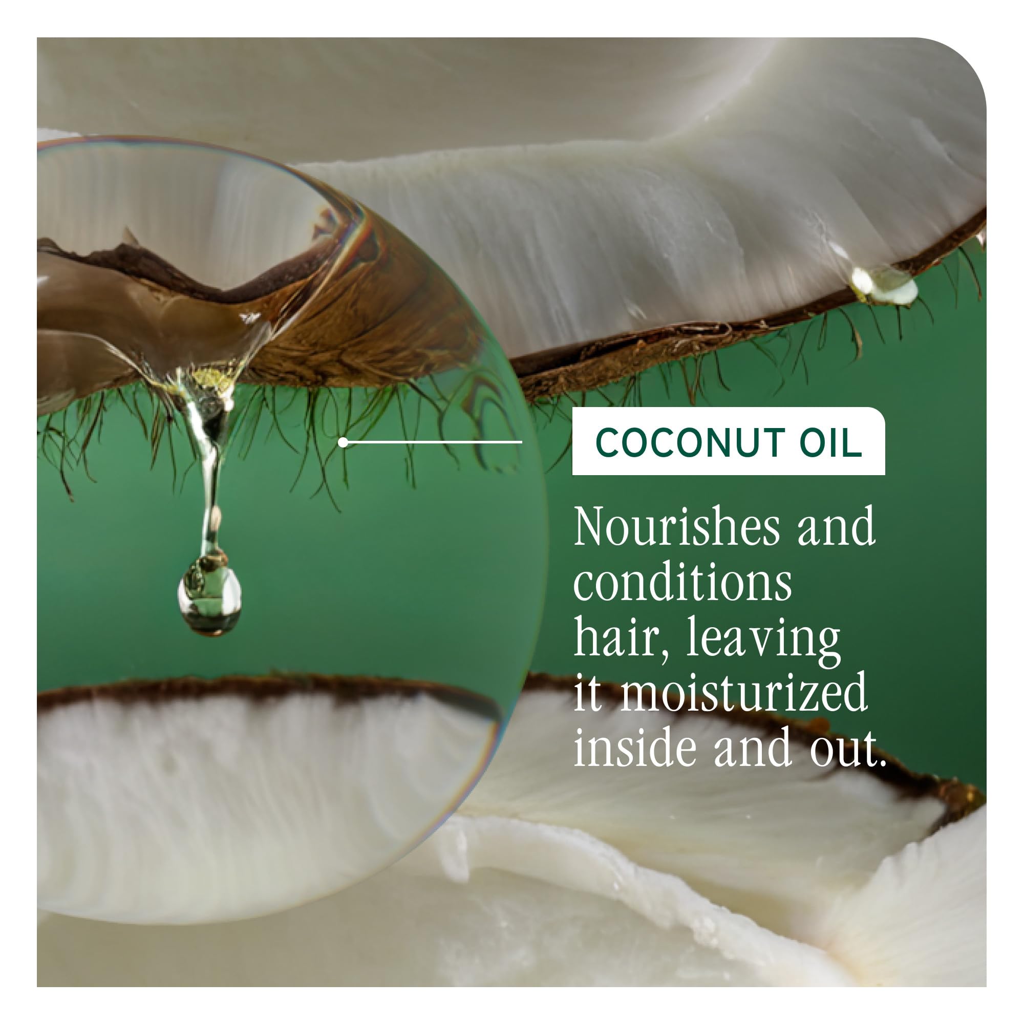 Biolage All-In-One spray on dry hair to seal ends and tame frizz.