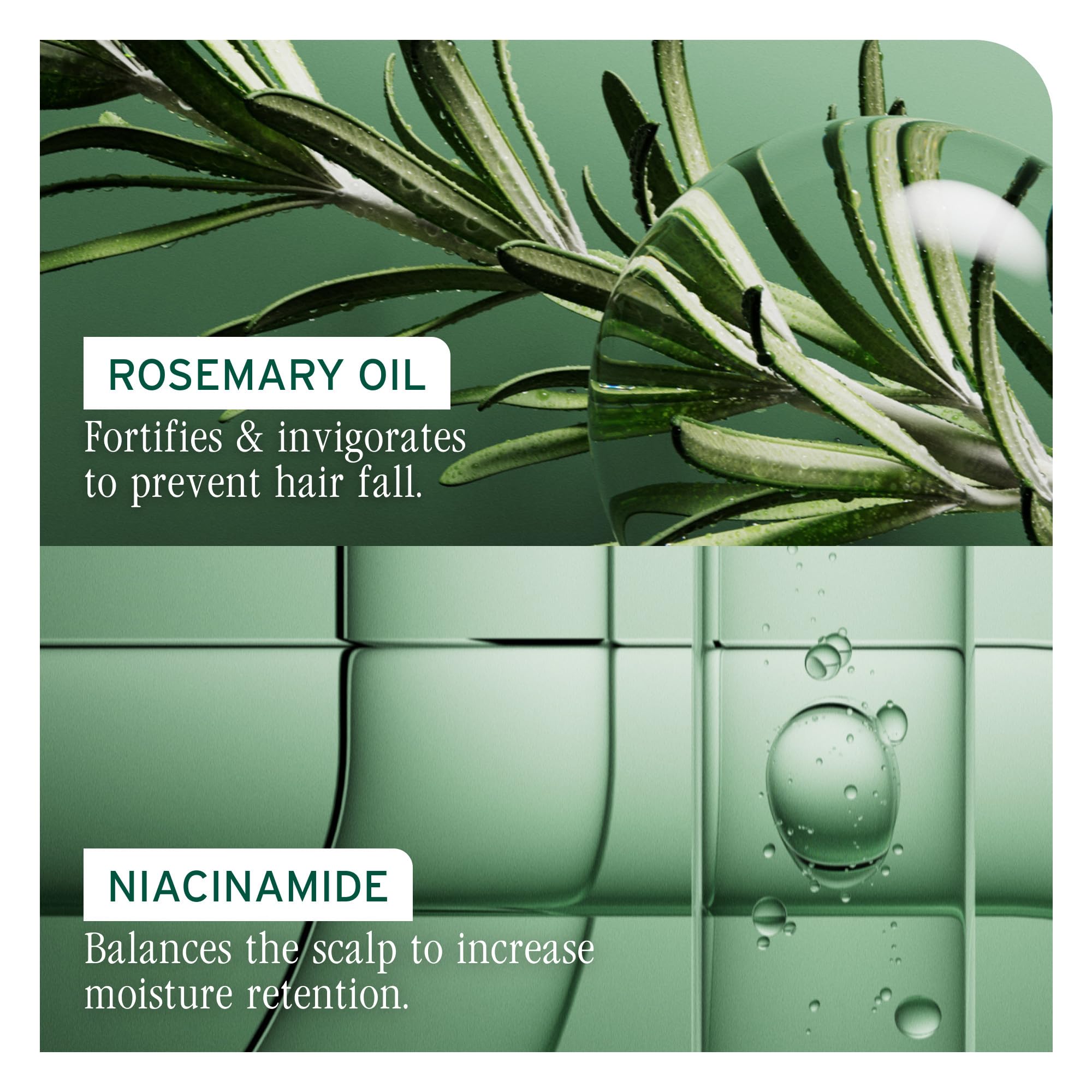 Biolage Full Rescue on color-treated hair demonstrates safe, gentle care